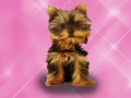 Тоглоом Wash Pets Princess Kids    