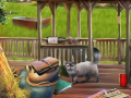 Тоглоом Backyard Makeover