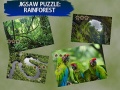 Тоглоом Jigsaw Puzzle Rain Forest 