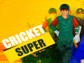 Тоглоом Super Cricket      
