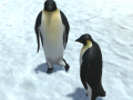 Тоглоом The littlest penguin