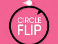 Тоглоом Circle Flip
