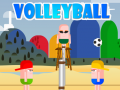 Тоглоом VolleyBoll