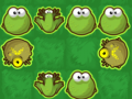 Тоглоом Frog Rush