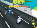 Тоглоом Pet Subway Surfers