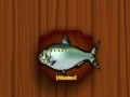 Тоглоом Amateur Action Super Fishing