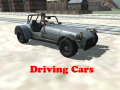 Тоглоом Driving Cars