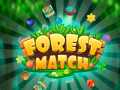 Тоглоом Forest Match