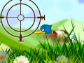 Тоглоом Quack Hunt