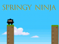 Тоглоом Springy Ninja