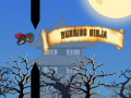 Тоглоом Running Ninja