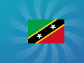 Тоглоом Guess The Flag