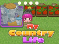 Тоглоом My County Life