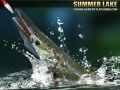 Тоглоом Summer Lake