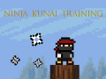 Тоглоом Ninja Kunai Training