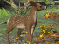 Тоглоом Spot The differences Spring in the Woods