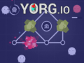 Тоглоом Yorg.io