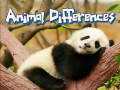 Тоглоом Animal Differences 