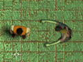Тоглоом Maze Of Infection
