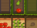 Тоглоом Fruit Gardener