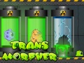 Тоглоом Ttransmorpher
