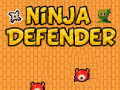 Тоглоом Ninja Defender