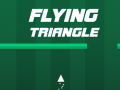 Тоглоом Flying Triangle