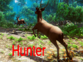 Тоглоом Hunter