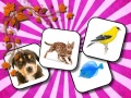 Тоглоом Animals Memory