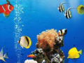 Тоглоом Sea Underwater Difference