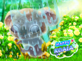 Тоглоом Happy Koala