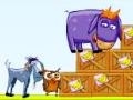 Тоглоом Donkey Sean