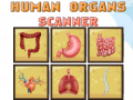 Тоглоом Human Organs Scanner
