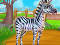 Тоглоом Zebra Caring