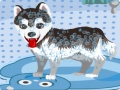 Тоглоом My Cute Dog Bathing