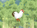 Тоглоом Chickaboom