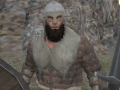 Тоглоом Vikings Aggression