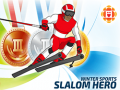 Тоглоом Winter Sports: Slalom Hero