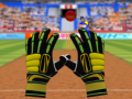 Тоглоом Cricket Fielder Challenge