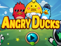Тоглоом Angry Ducks