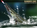 Тоглоом Summer Lake 1.5