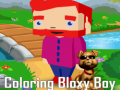Тоглоом Coloring Bloxy Boy