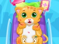 Тоглоом Little Cat Doctor