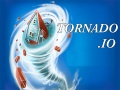 Тоглоом Eg Tornado.io