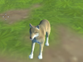 Тоглоом Wolf Simulator