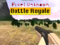 Тоглоом Pixel Unknown Battle Royale