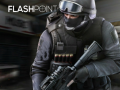 Тоглоом Flashpoint