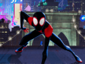Тоглоом Spiderman into the spiderverse Masked missions