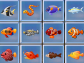 Тоглоом Find The Fish