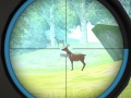 Тоглоом Hunter Training